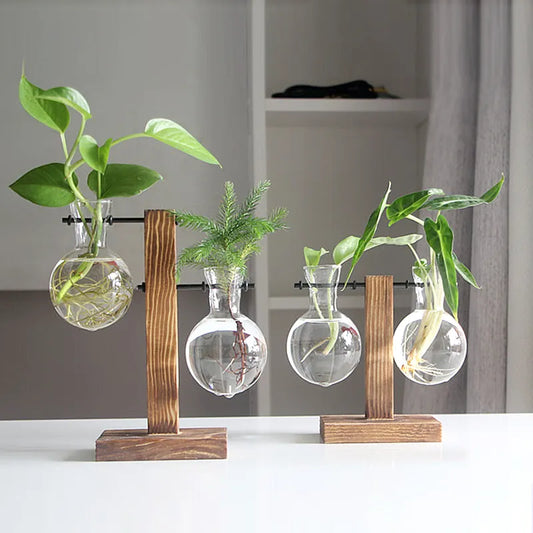 Terrarium Plant Vases