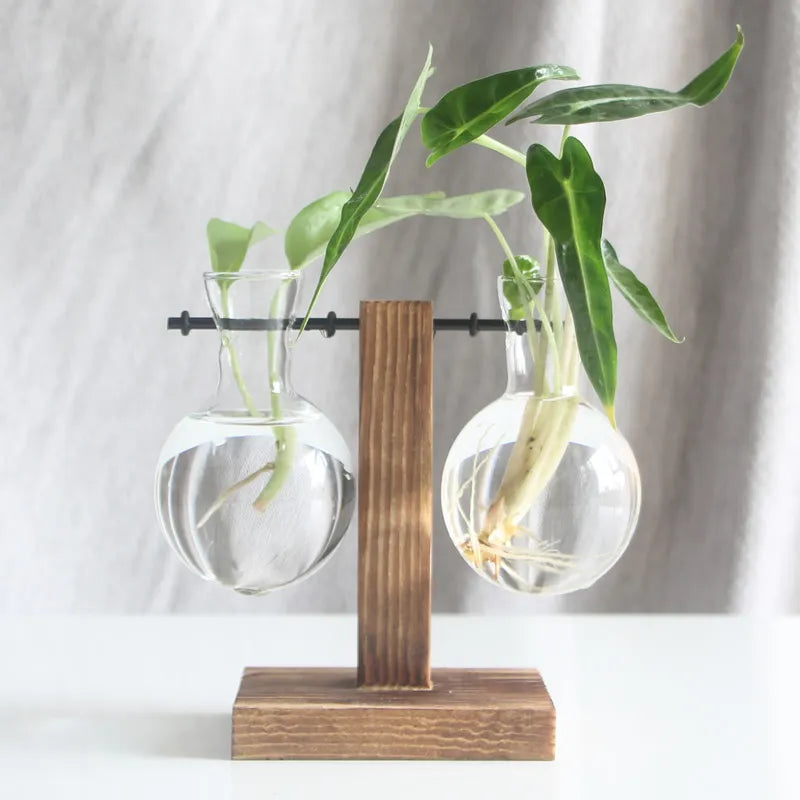 Terrarium Plant Vases