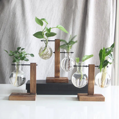 Terrarium Plant Vases