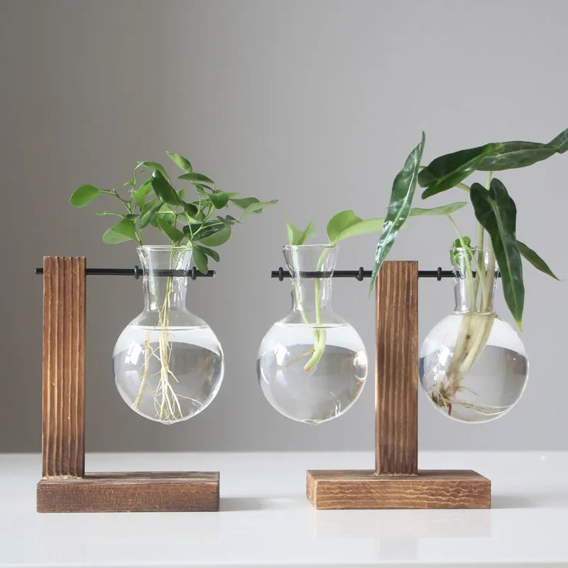 Terrarium Plant Vases