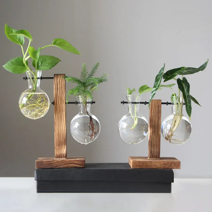 Terrarium Plant Vases