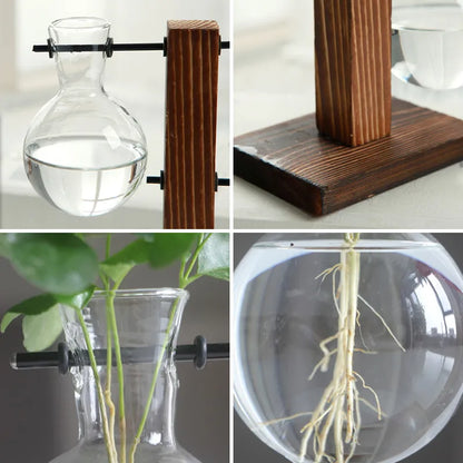 Terrarium Plant Vases